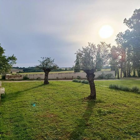 Maison Saint-Pe Beraut Экстерьер фото